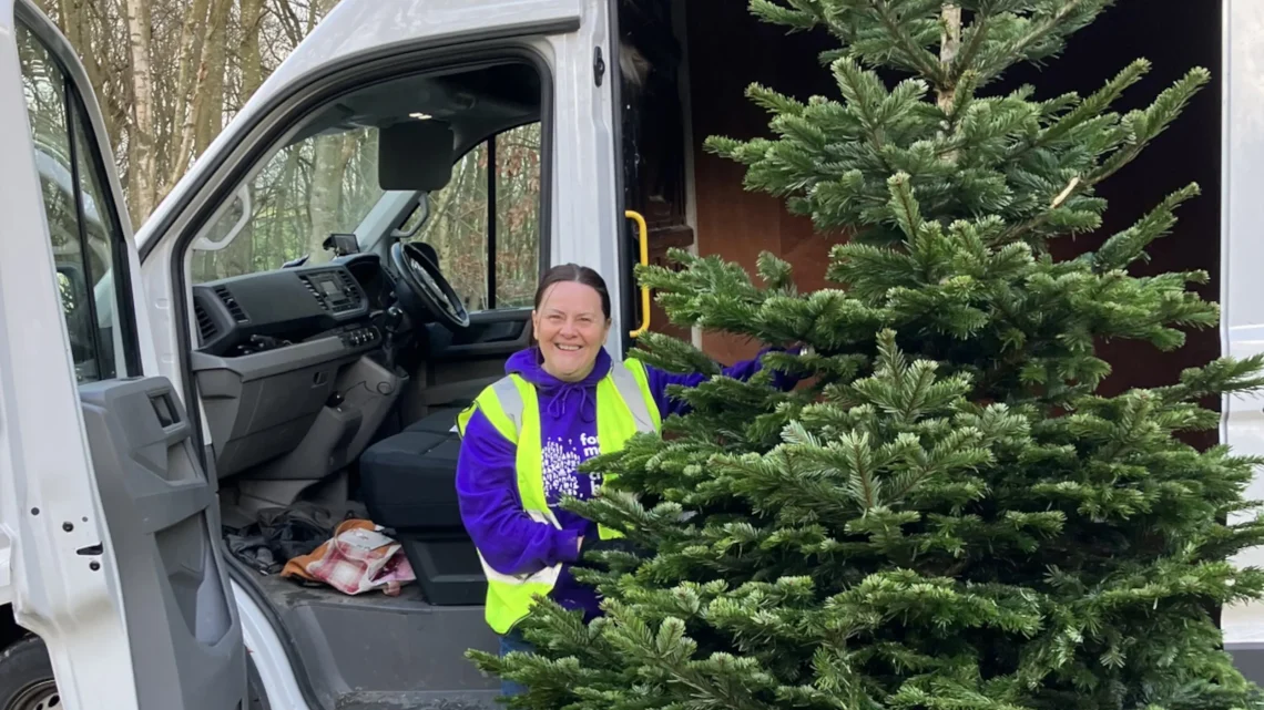 Yorkshire Charity Opens Bookings for Christmas Tree Recycling Collections