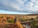 One Year on Ilkley Moor: A Moorland Restoration Story